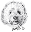 cockapoo drawing of henry