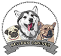 pug husky and french bulldog drawing for logo