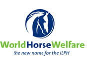 world horse logo