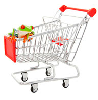 shopping trolley with reptile
