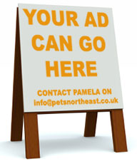 Your advert can go here